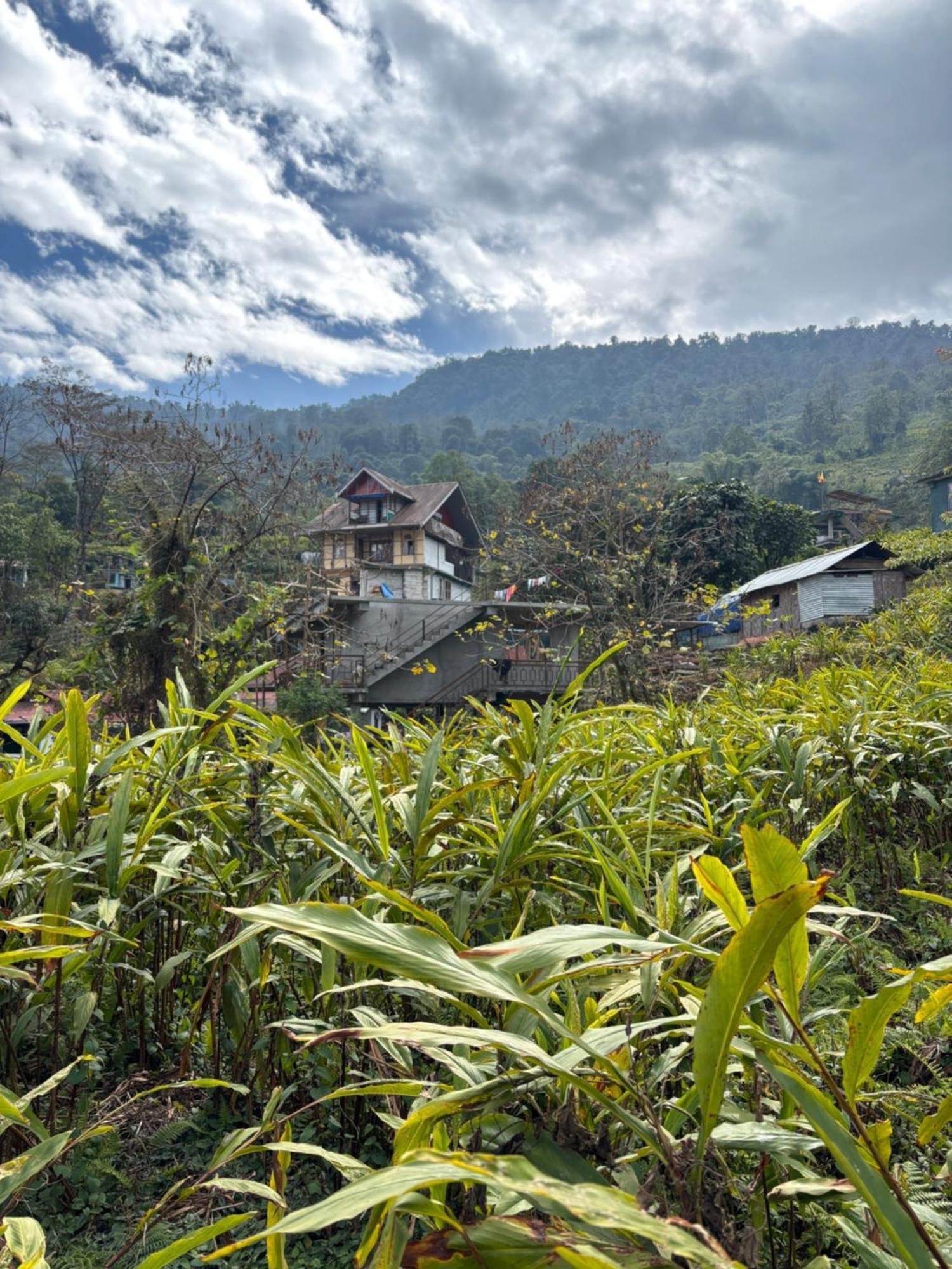 Odyssey'S Darap Eco Retreat Apartman Pelling Kültér fotó