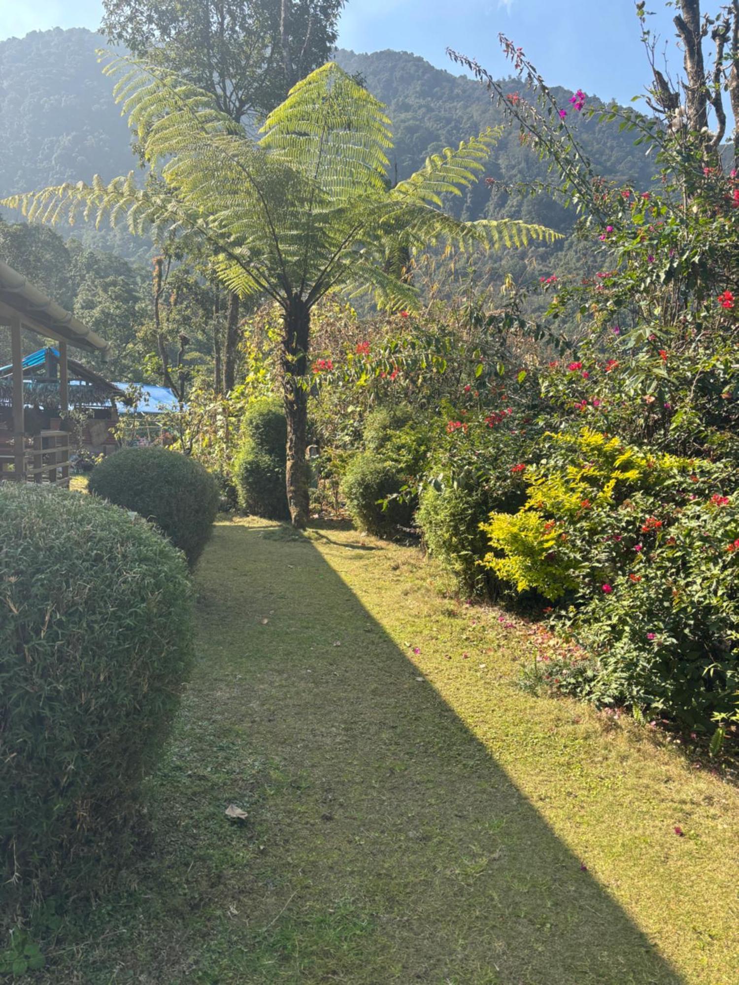 Odyssey'S Darap Eco Retreat Apartman Pelling Kültér fotó